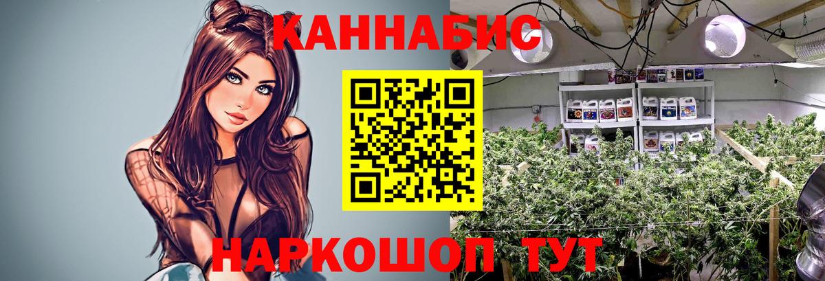 Шишки марихуана план Тула